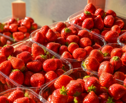 Vente de fruits de saison à Gozée