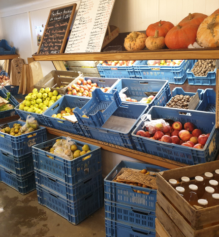 Vente de fruits de saison à Gozée