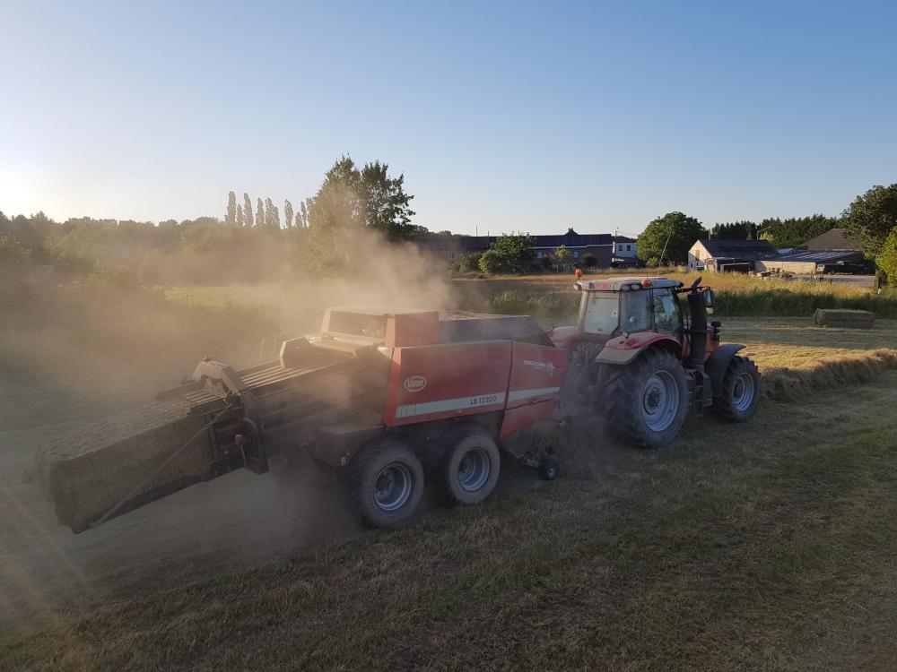 Exploitation fermière près de Charleroi et Thuin